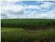 Lake Monduran QLD 4671