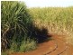 Lake Monduran QLD 4671