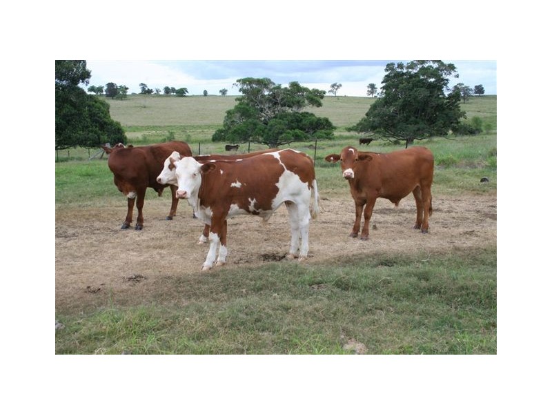 Wondai QLD 4606