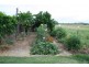 Wondai QLD 4606
