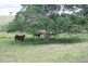 Wondai QLD 4606