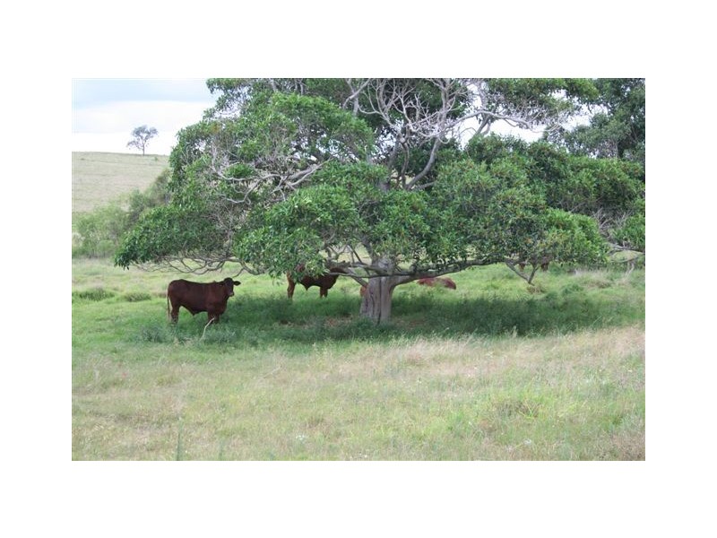 Wondai QLD 4606