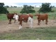 Wondai QLD 4606