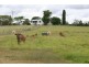 Wondai QLD 4606