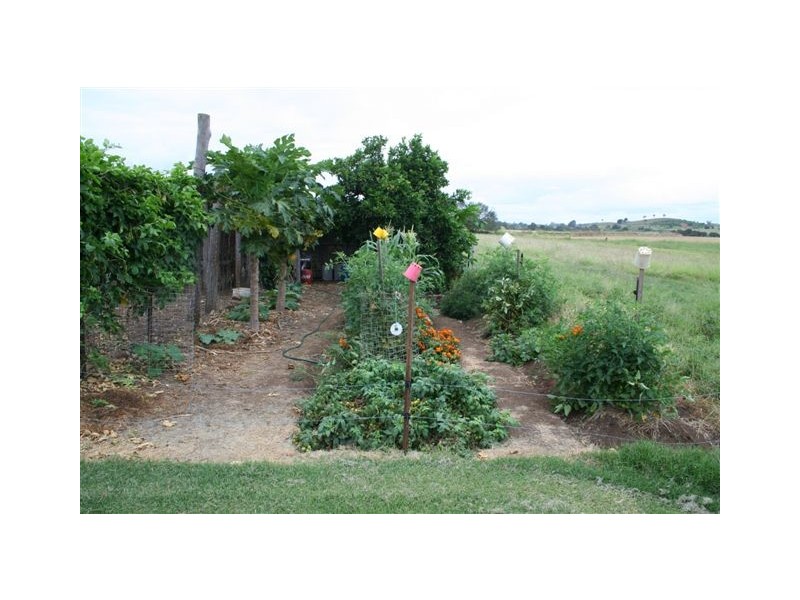 Wondai QLD 4606
