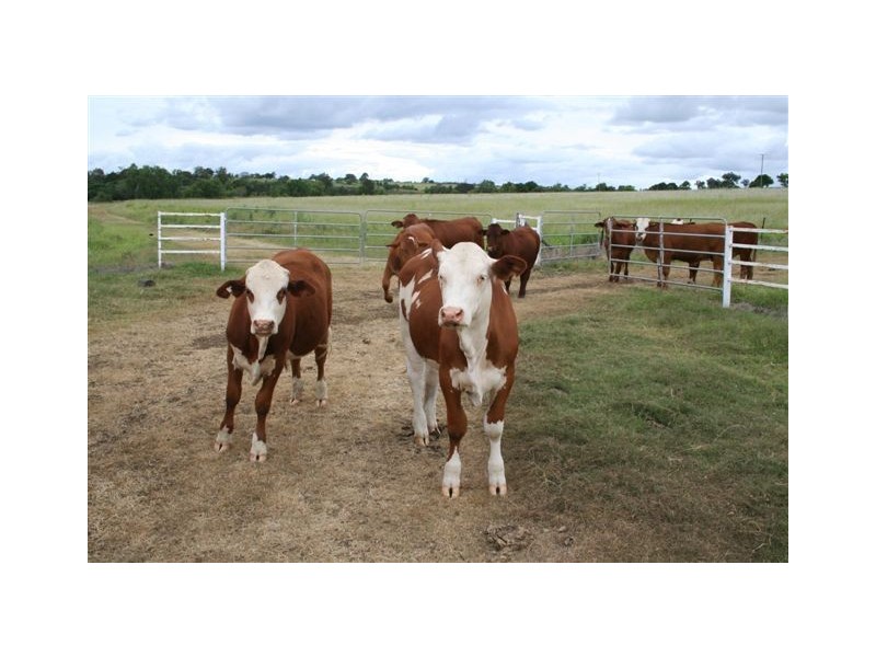 Wondai QLD 4606