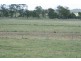 6750 Burnett Highway, Goomeri QLD 4601
