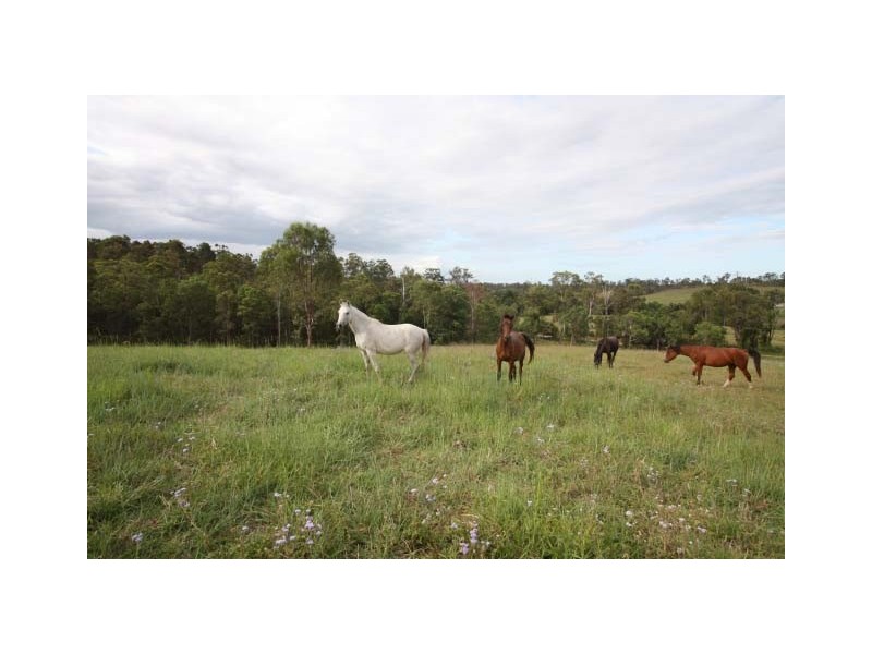 Calico Creek QLD 4570