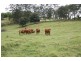 Amamoor QLD 4570