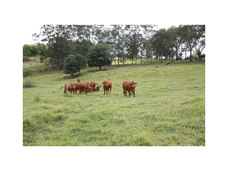 Amamoor QLD 4570