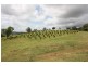 Amamoor QLD 4570