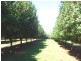 Wolvi QLD 4570