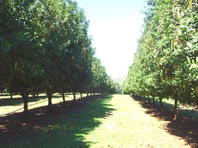 Wolvi QLD 4570