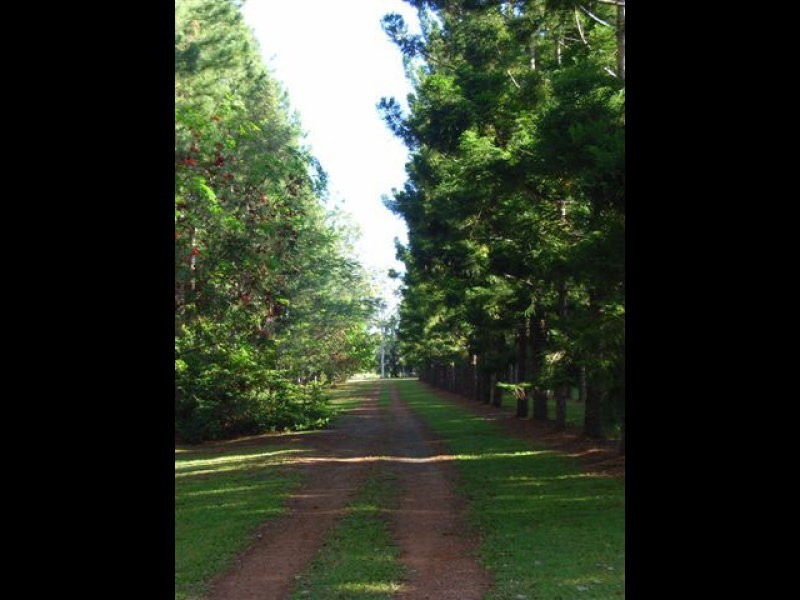 Wolvi QLD 4570
