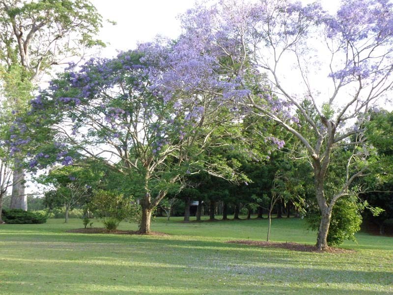 Wolvi QLD 4570