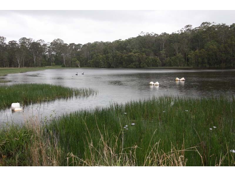 Wolvi QLD 4570