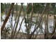 Forsayth QLD 4871