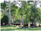 Conondale QLD 4552
