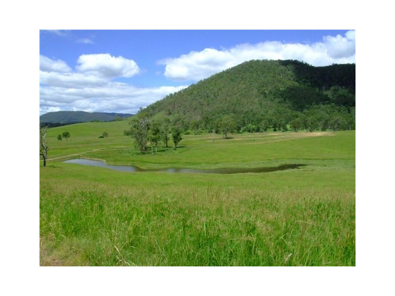 Conondale QLD 4552