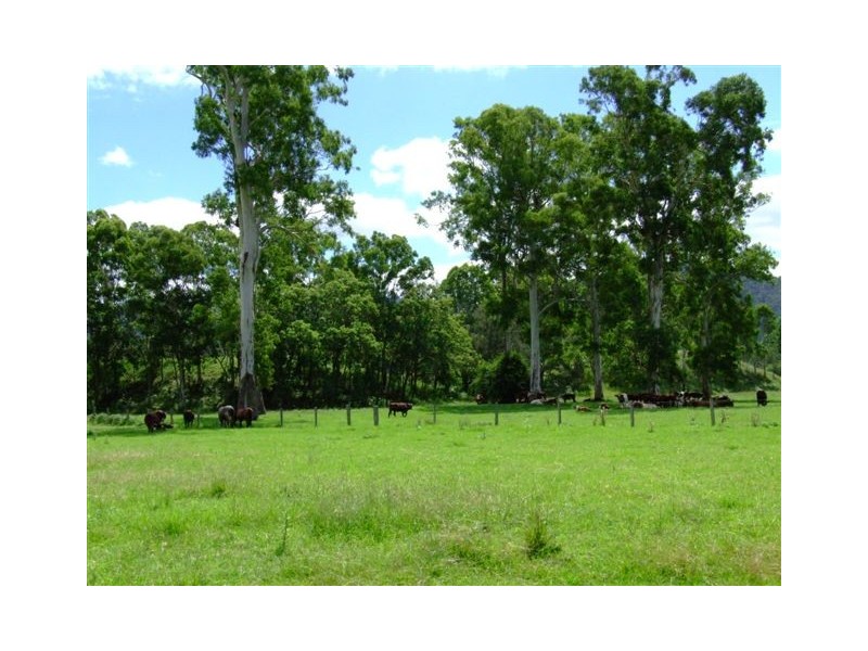 Conondale QLD 4552