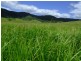 Conondale QLD 4552