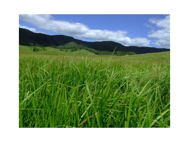 Conondale QLD 4552