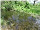 Conondale QLD 4552
