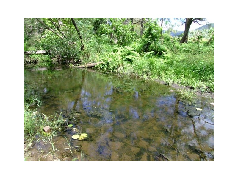 Conondale QLD 4552