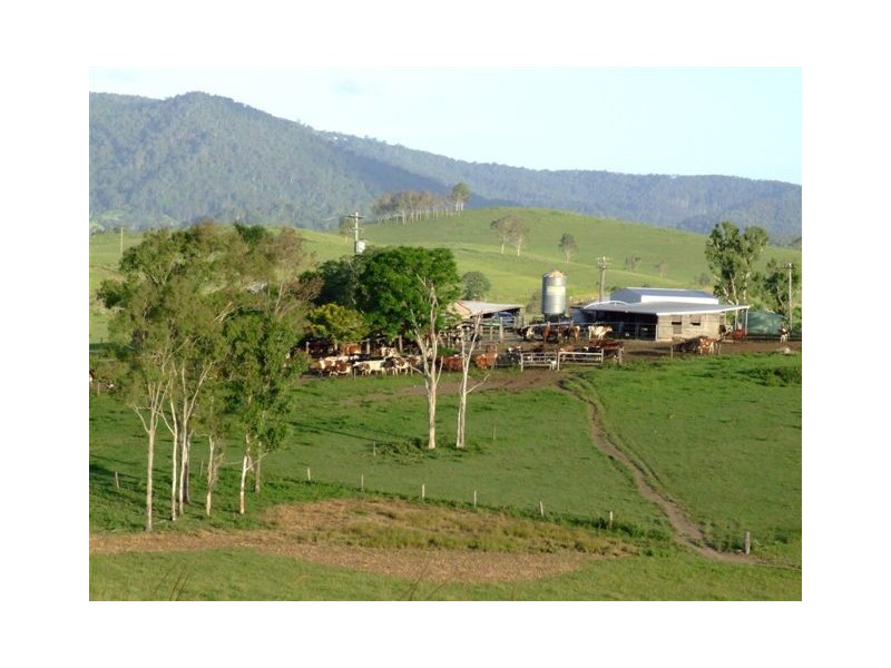 Conondale QLD 4552