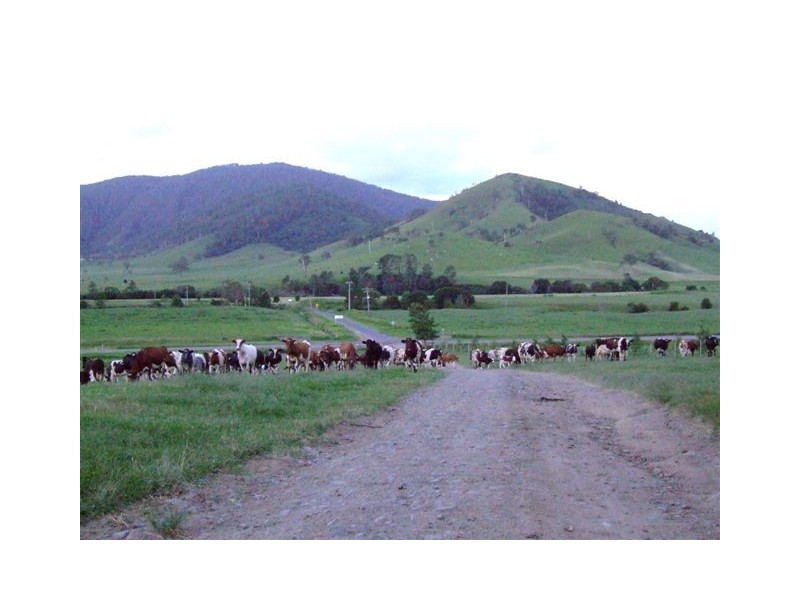 Conondale QLD 4552