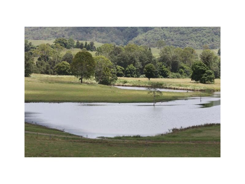 Conondale QLD 4552