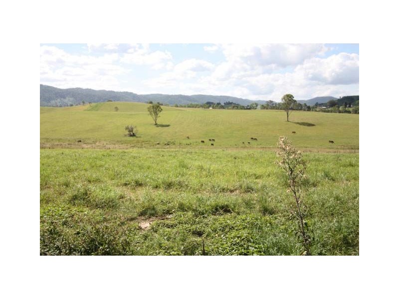 Conondale QLD 4552