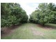 Canina QLD 4570