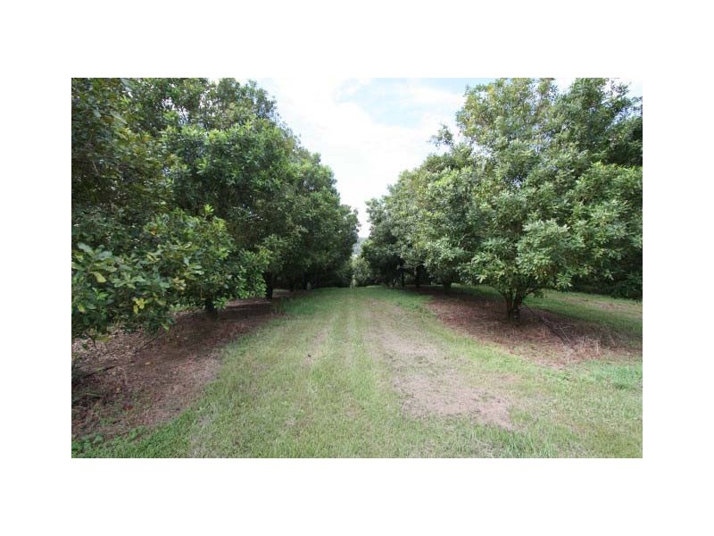 Canina QLD 4570