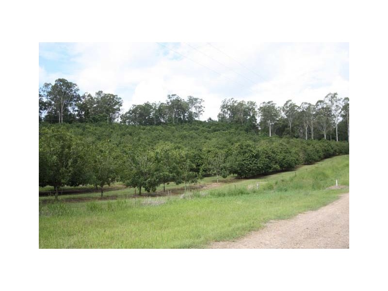 Canina QLD 4570