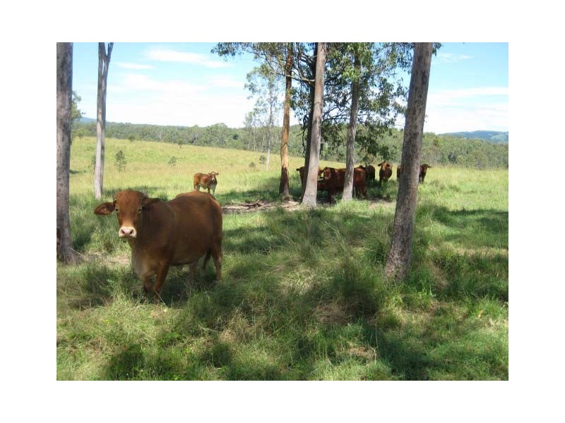 Glenwood QLD 4570