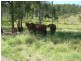 Glenwood QLD 4570