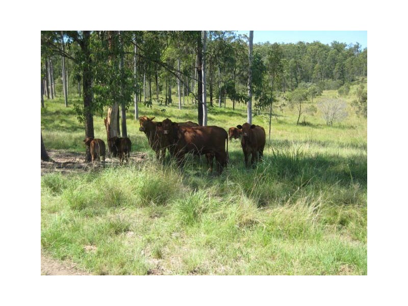 Glenwood QLD 4570