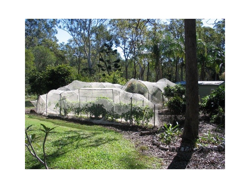 Wolvi QLD 4570