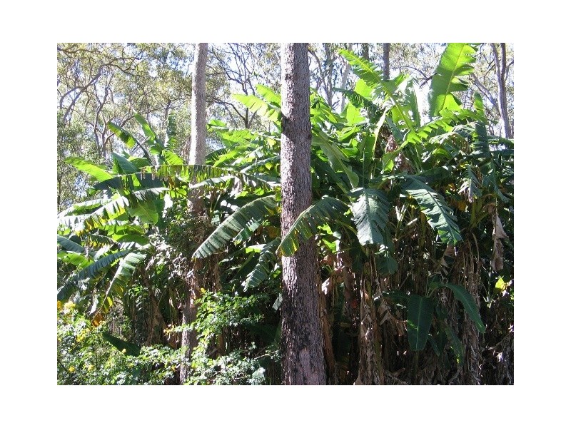 Wolvi QLD 4570