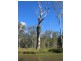 Wolvi QLD 4570
