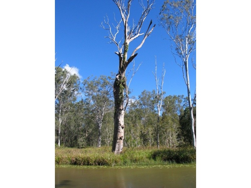 Wolvi QLD 4570