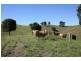 Pomona QLD 4568
