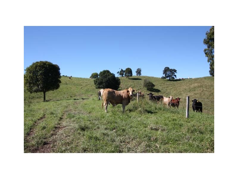 Pomona QLD 4568