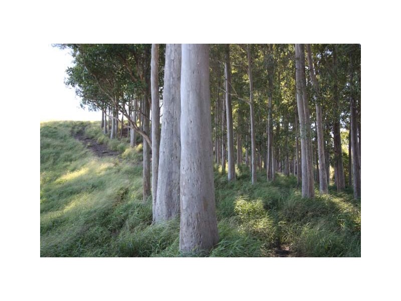 Pomona QLD 4568