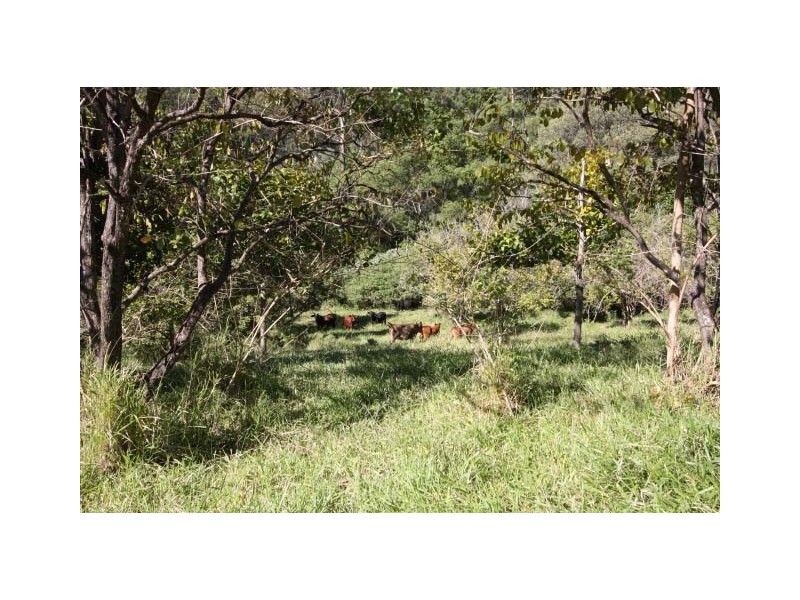 Ross Creek QLD 4570
