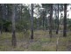 Wondai QLD 4606