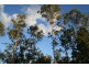 Wondai QLD 4606