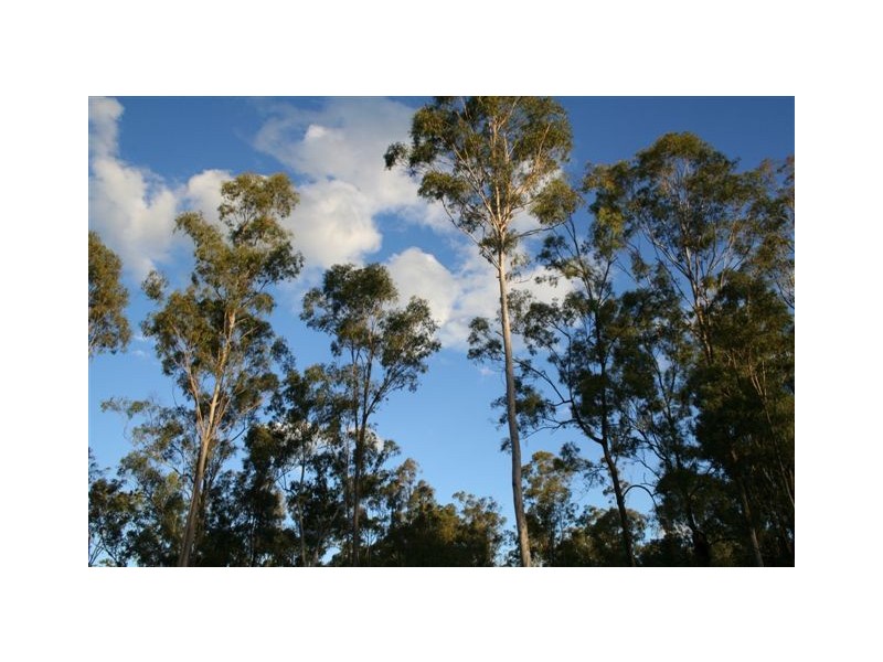 Wondai QLD 4606