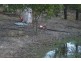 Wondai QLD 4606
